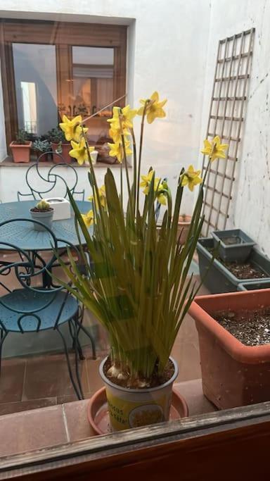 Casa Biar别墅 外观 照片